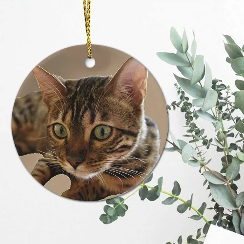 Vista 4 de Adorno de Navidad de gato atigrado decorativo colgante adorno de árbol de Navidad, adornos de recuerdo de Navidad, adornos de recuerdo de 3 pulgadas