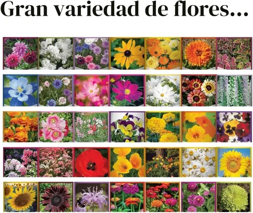 Vista 4 de Gardeners Basics, paquetes de semillas de flores para plantar 35 variedades individuales perennes, anuales, semillas de flores silvestres