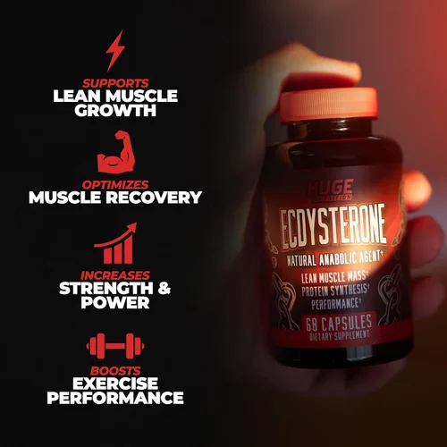 Vista 7 de Huge Supplements Pila de turkesterona y ecdysterona, construye músculo y fuerza, tecnología de absorción mejorada (60 porciones)