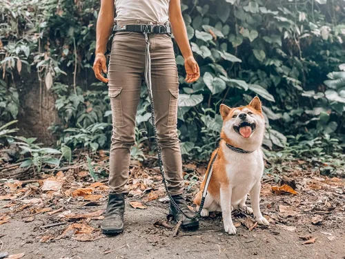 Vista 8 de Tuff Pupper Correa de perro resistente manos libres Un perro pequeño/mediano de hasta 45 libras Cómodo elástico absorbente de golpes Asas