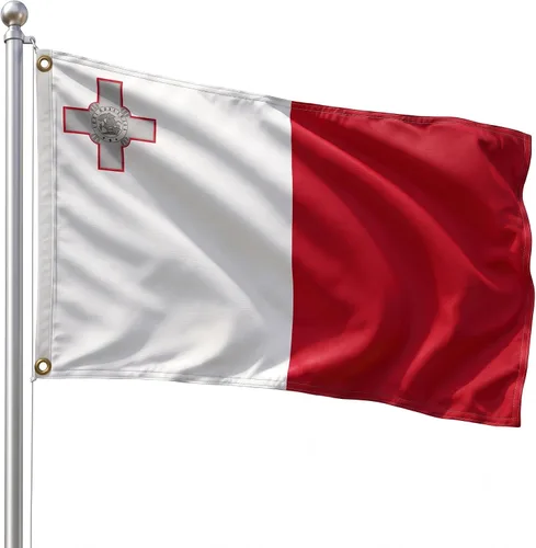 Vista 73 de DMSE - Bandera nacional beninesa beninesa de la República de África Occidental, 2 x 3 pies, 100 % poliéster, 100 % poliéster, resistente a los rayos