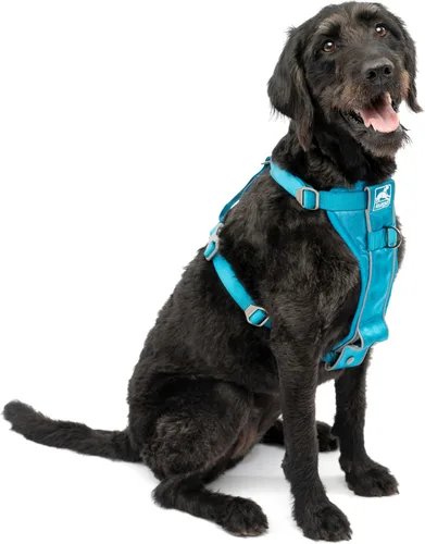 Vista 8 de Kurgo Tru-Fit - Arnés inteligente para caminar para perros, ajuste cómodo, arnés ajustable, reflectante para mascotas, liberación rápida