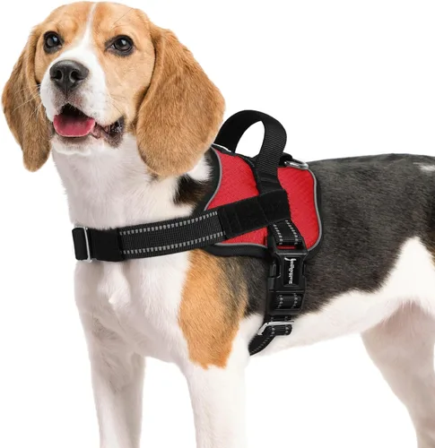 Vista 19 de rabbitgoo Arnés para perro pequeño, chaleco fácil de poner para mascotas con una hebilla, arnés de servicio ajustable sin tirones con anillo en D