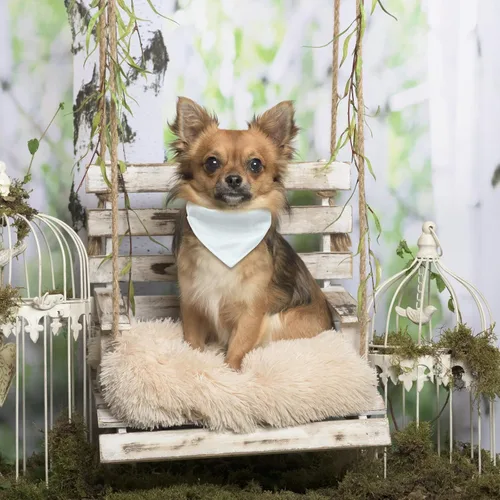 Vista 7 de 4 unidades de collar triangular blanco para perro, bandana para perro con hebilla ajustable sublimación en blanco, bandanas para perros y gatos, S