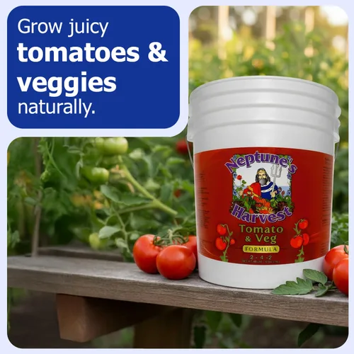 Vista 2 de Neptune's Harvest Fertilizante orgánico para plantas de tomate y verduras (2-4-2) – Alimento líquido para plantas con pescado fresco, algas marinas