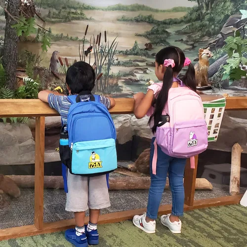 Vista 6 de PICKY LLAMA Mochila para niños, mochila ligera para la escuela y de viaje con bolsa de almuerzo y estuche para lápices pop para niñas y niños, 15