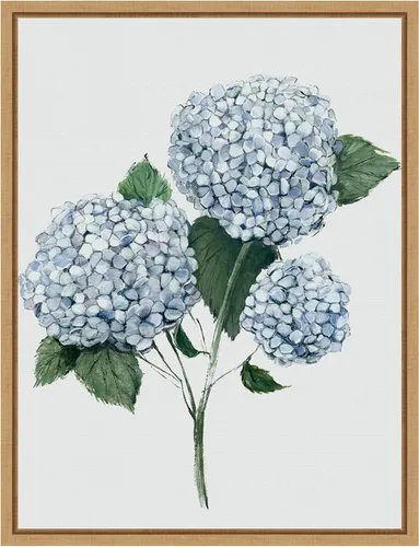 Vista 8 de Amanti Art Framed Canvas Wall Art 24x18 Fresh Blue Hydrangea II by Hannah Dawson, Framed Wall Art Canvas, Flowers Artwork, Traditional Decor, Medium