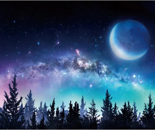 Vista 9 de Telón de fondo de cielo nocturno estrellado para fotografía, 10 x 8 pies, vista nocturna del bosque, telón de fondo para fotos, universo galaxia