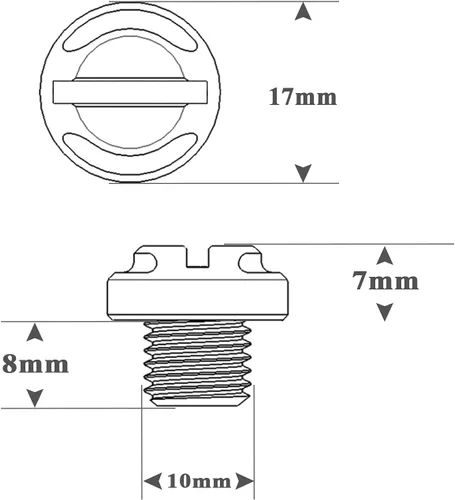 Vista 6 de 4 tapones para agujeros de espejo azul para motocicleta, 2 regulares+2 reversas M10x1.25 (azul, M10> 2 regulares + 2 reverso)