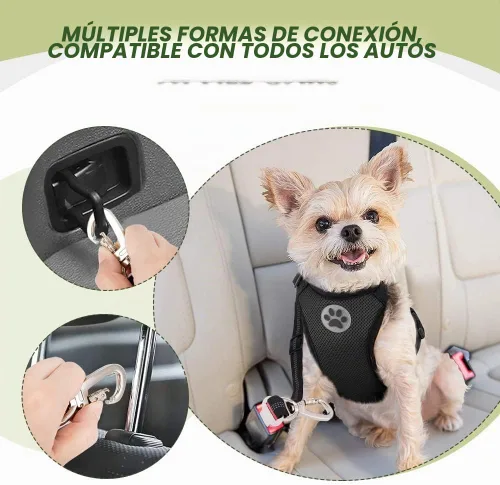 Vista 6 de SlowTon Cinturón de seguridad para perro, paquete de 2 cinturones de seguridad para perro, correa elástica ajustable, amortiguador elástico de Negro