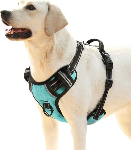 Vista 19 de HEELE Arnés para perro pequeño sin tirones con mango suave, arnés reflectante ajustable, color negro, XS Reflective Front Clip Vest with Control