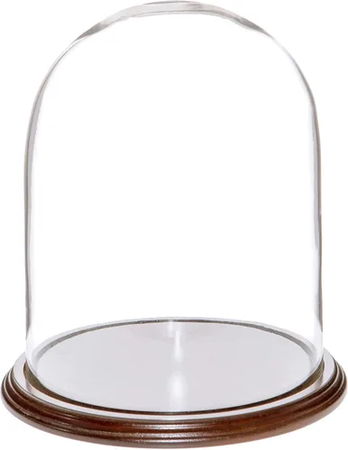 Vista 5 de Plymor Cúpula de cristal de 8" x 10.25" (base de chapa de nogal)