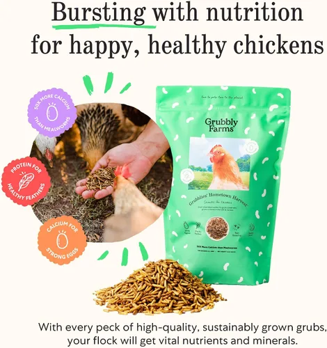 Vista 3 de Grubbly Farms Grubblies - Larvas de mosca soldado negro para pollos - Golosinas de pollo cultivadas en los Estados Unidos y Canadá - para cáscaras