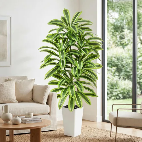 Vista 11 de Árbol de Dracaena artificial rojo de 6 pies, plantas falsas altas Hoja blanco-roja