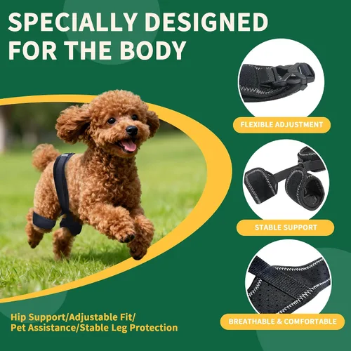 Vista 5 de Aeegee Soporte ortopédico de cadera para perro, soporte de pierna de perro para displasia de cadera, soporte de cadera para perro para aliviar