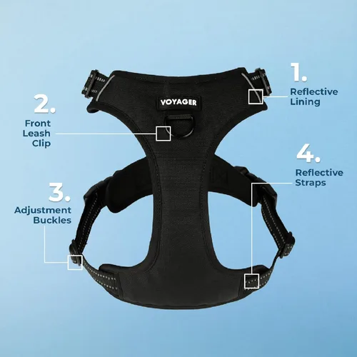 Vista 4 de Voyager Arnés para Perro con Doble Enganche de Correa, Control Sin Tirones, Ajustable, Suave pero Fuerte, Arnés para Mascotas para Perros Medianos