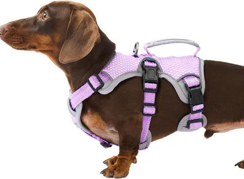 Vista 13 de Huntboo - Arnés para perro a prueba de escape, arnés reflectante con asa, duradero, chaleco ajustable para perros pequeños, medianos y grandes