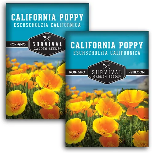 Vista 10 de Survival Garden Seeds - Semillas de amapola de California para plantar - 1 paquete con instrucciones para cultivar plantas Eschscholzia Californica