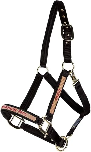 Vista 3 de Dura-Tech Cabestro de caballo de nailon totalmente acolchado Cabestro para caballo diseñado para evitar rozaduras Corona y bordillo de caballo