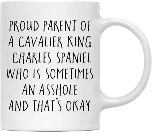 Vista 34 de Andaz Press Funny Dog - Taza de café de 11 onzas, regalo de broma, orgulloso padre de un afenpinscher que es a veces un gilipollas y eso está bien