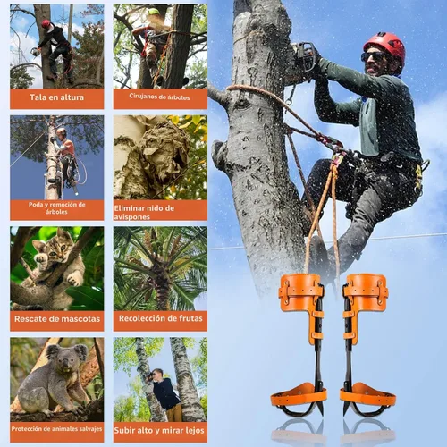 Vista 6 de Tree Climbing Spikes, Tree Climbing Gear with Non-Slip Pedal, Adjustable Tree Climbing Tool Set