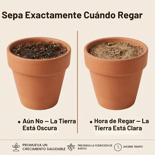 Vista 6 de Mezcla de tierra natural para macetas de cactus y suculentas (hecha en Estados Unidos) (4 cuartos secos)