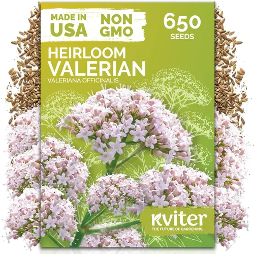 Vista 24 de KVITER 1000 semillas de quinua de cordero (Chenopodium Album) - Hierbas comestibles autóctonas, ideales para jardines de hierbas orgánicas