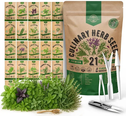 Vista 13 de Organo Republic Paquete variado de 12 semillas de hierbas culinarias - 7,355+ semillas criollas, sin transgénicos, para jardinería en interiores