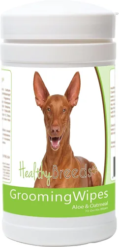 Vista 140 de Healthy Breeds Toallitas multiusos para aseo y desodorización para perros Affenpinscher – Más de 200 razas – Limpia las almohadillas para las patas