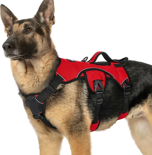 Vista 23 de rabbitgoo - Arnés para perros a prueba de fugas, arnés para mascotas acolchado y suave de cuerpo completo, arnés reflectante ajustable sin tirones