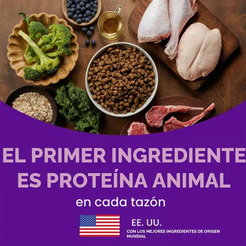Vista 5 de Wellness CORE Alimento seco para perros, sin granos, alta proteína, natural, receta de pescado blanco del océano, arenque y salmón