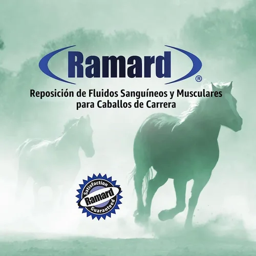 Vista 5 de Ramard Reposición muscular de líquidos sanguíneos para caballos de carrera, suplementos para caballos con electrolitos, constructor de sangre