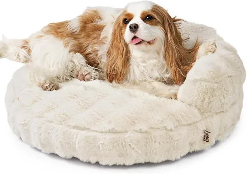 Vista 12 de EHEYCIGA Sofá cama suave para gatos de interior, cama extra pequeña esponjosa para perros con funda extraíble lavable, sofá para mascotas, Camello