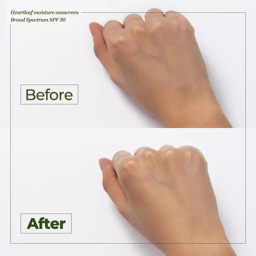 Vista 8 de JMsolution Protector solar Heart Leaf SPF 50 – Fabricado en Estados Unidos, calmante protección UV con hoja de corazón y centella asiática
