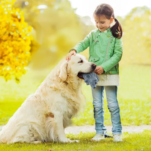 Vista 6 de Juguetes masticables para perros para masticadores agresivos, juguetes de huesos de perro grandes, juguetes para perros para masticadores Gris