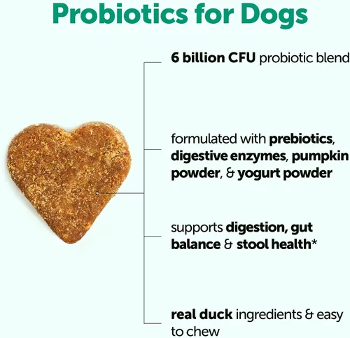Vista 2 de Micro Ingredients Probióticos para perros, 240 masticables blandos Masticables probióticos diarios para la salud digestiva para perros