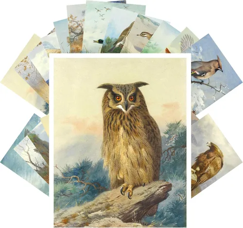 Vista 10 de Pixiluv Postales vintage (24 piezas de 10x15 cm cada una) Ilustración de libro botánico antiguo de colibríes y pájaros pequeños Tarjetas de nota Agua