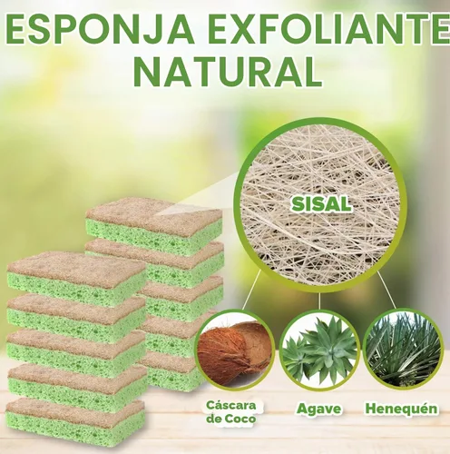 Vista 2 de SCRUBIT Esponjas naturales – Paquete de 10 esponjas naturales biodegradables compostables de celulosa y coco para platos, esponja de cocina