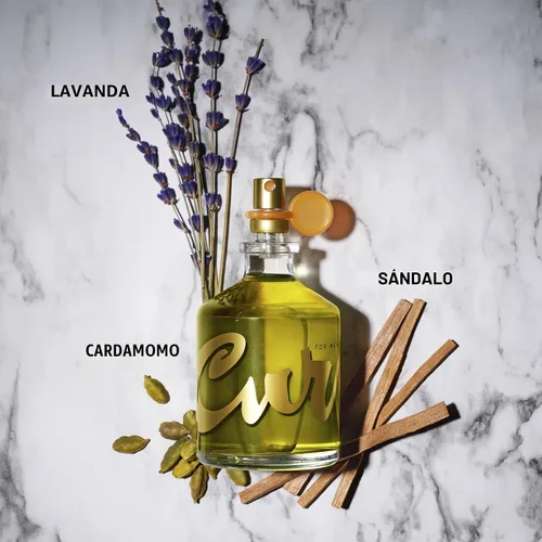 Vista 3 de Curve - Perfume en aerosol para hombre, fragancia con aroma especiado, amaderado y magnético para el día y la noche, 6.8 onzas líquidas Colonia