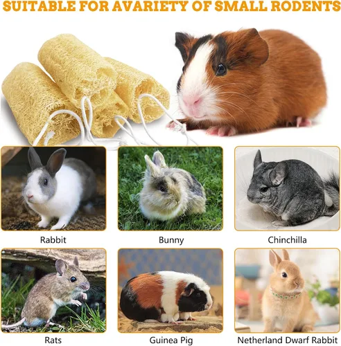 Vista 7 de 12 piezas de juguetes masticables de conejo, juguete masticable natural de conejo, lufa, juguetes para moler dientes de chinchilla, conejillo