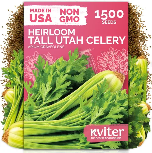 Vista 41 de KVITER 3000 semillas de espinaca egipcias - Molokhia (Corchorus Olitorius) - Hojas de yute, Ewedu, Día de Rau, Semillas de vegetales Saluyot