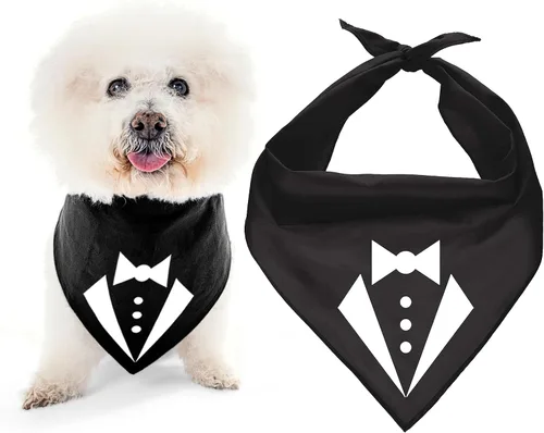 Vista 13 de Parisian Pet Bandanas naranjas para perros – Bandana ajustable para cachorros – Accesorios para perros para niños y niñas – Pañuelo para perros Best