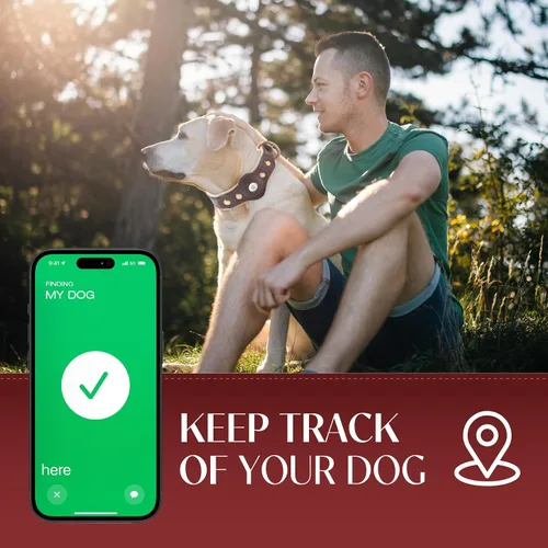 Vista 8 de Filbert Collar de cuero para perro con soporte para Airtag, collar de perro seguro mejorado, collar de cuero para perros medianos, collar de perro