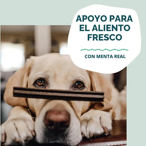 Vista 5 de Shameless Pets Golosinas Dentales para Perros, A Cluck A Day - con Apoyo Digestivo para Limpieza de Dientes y Aliento Fresco - Huesos Masticables