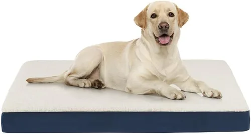 Vista 16 de Friends Forever Cama ortopédica para perro, camas refrescantes para perros con funda extraíble lavable, alfombrilla reversible para mascotas