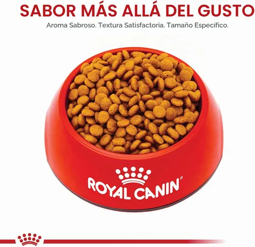 Vista 8 de ROYAL CANIN SIZE HEALTH NUTRITION X-SMALL comida seca para perros adultos