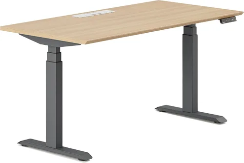 Vista 9 de Branch Escritorio de pie de 48 pulgadas, el mejor escritorio de oficina para productividad y salud, motores duales, elevación de tres etapas, cuatro