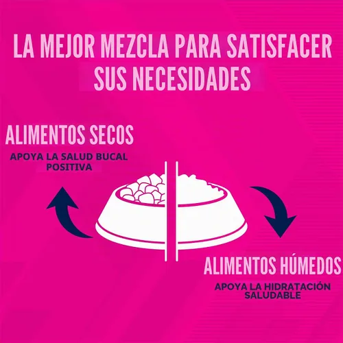 Vista 5 de Eukanuba Adult, alimento seco para perro adulto