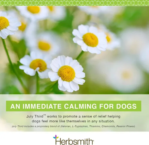 Vista 3 de Herbsmith Tercer de julio - Masticables calmantes caninos - Hierbas calmantes para perros - Suplementos de ansiedad para perros - Masticables