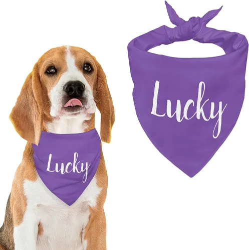 Vista 19 de Bandana personalizada para perro con nombre de poliéster, bandana personalizada para perro, triángulo, bufanda personalizada para mascotas